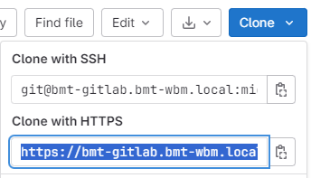 **Copying the https address of a newly created Git project**