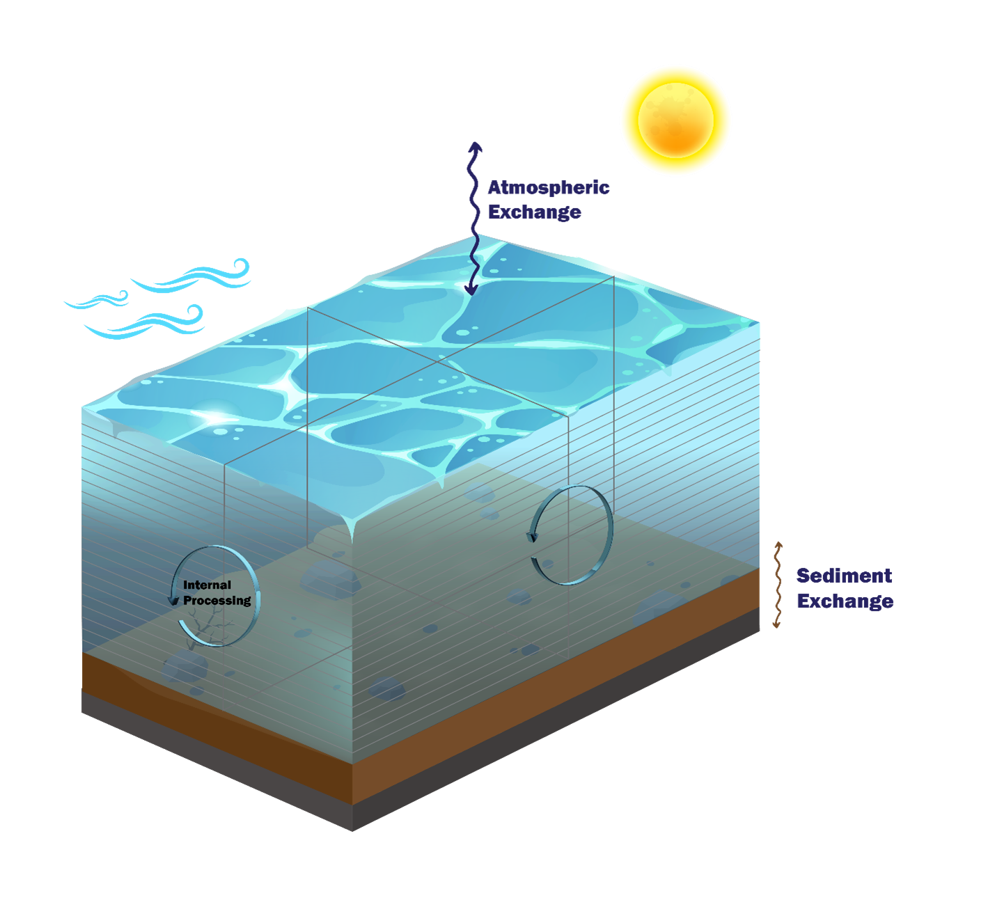 **WQ Module Mass Conservation Model**